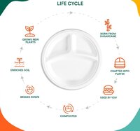 10 INCH 3CP WHITE BAGASSE MEAL TRAY