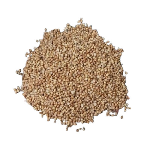 Coriander Seeds Grade: First Class