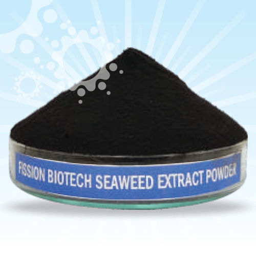 Seaweed Extract Powder