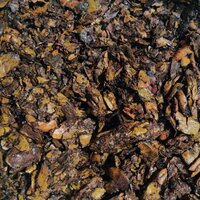 Natural Cashew Nut Shell Cake