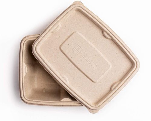 650ML Rectangle Premium Sugarcane Bagasse Box with Lid