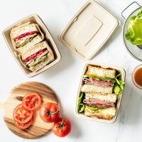 750ML Rectangle Premium Sugarcane Bagasse Box with Lid