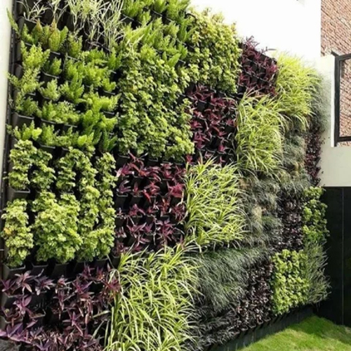 Vertical Garden Services