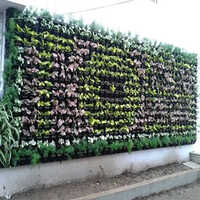 Modern Vertical Garden Services