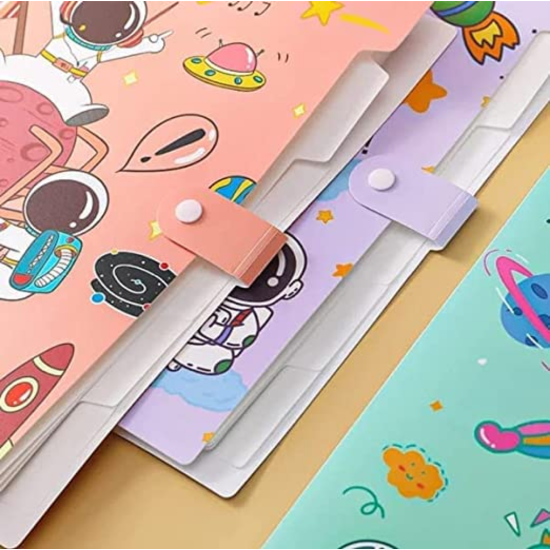 document folder