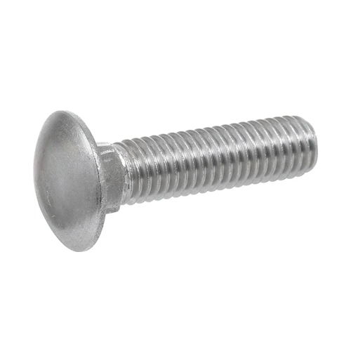 603 SS Carriage Bolt