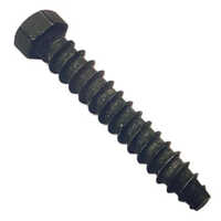 MS Hex Head Lag Screw