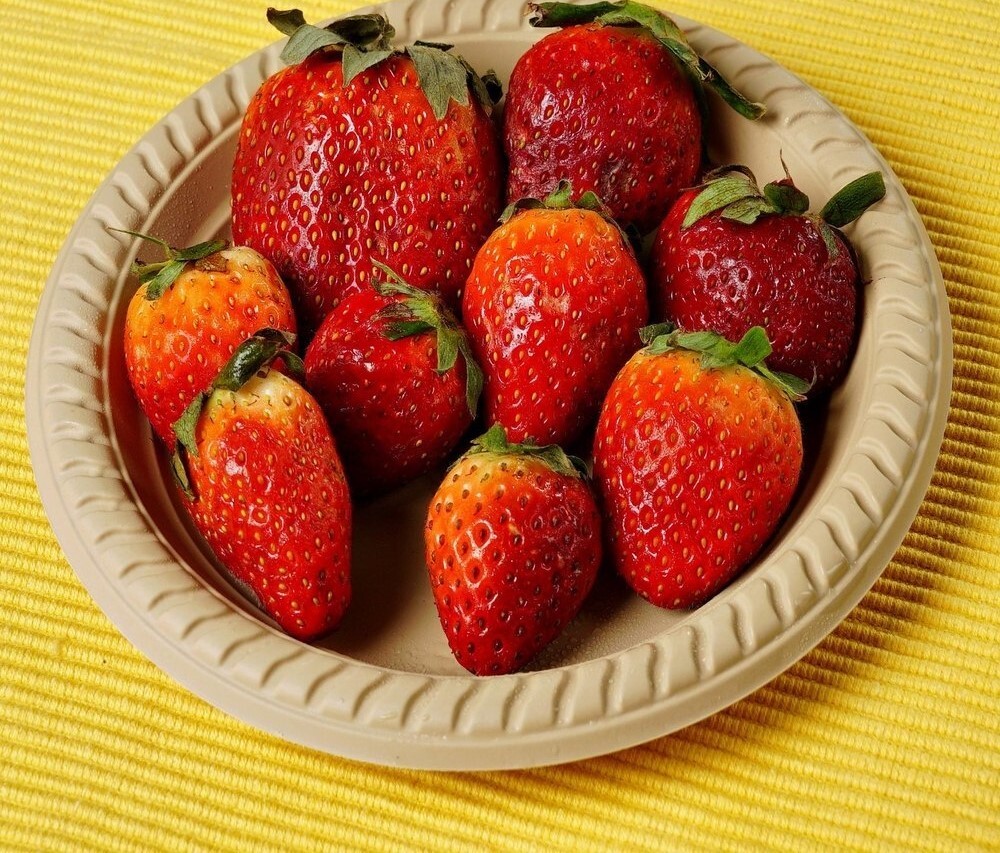 7 Inch EcoFriendly Cornstarch Disposable Plates