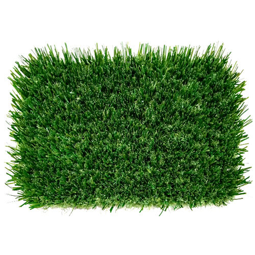 Sports Grass