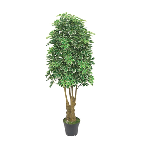 5.4 Ft Artificial Schefflera Plant Without Pot