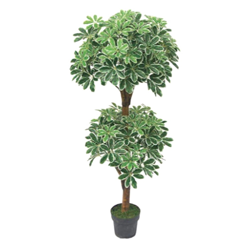 5 Ft Artificial Schefflera Arboricola Without Pot