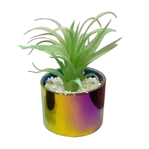 Artificial Senecio Succulent Plant With Ceramic Pot