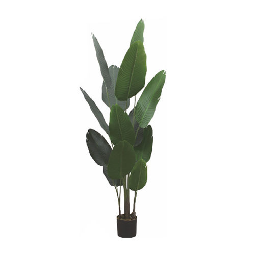 Durable 5.5 Ft Artificial Travelers Palm Tree Without Pot