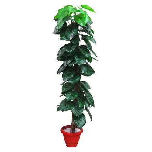 Artificial Green Polyester Fabric Money Plant