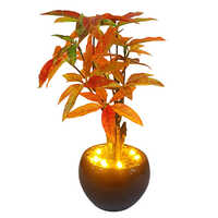 30cm Artificial Maple Bonsai With Led Light