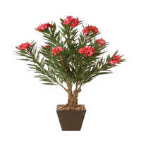 सिरेमिक पॉट के साथ 80 सेमी कृत्रिम ओलियंड्रो बोन्साई प्लांट