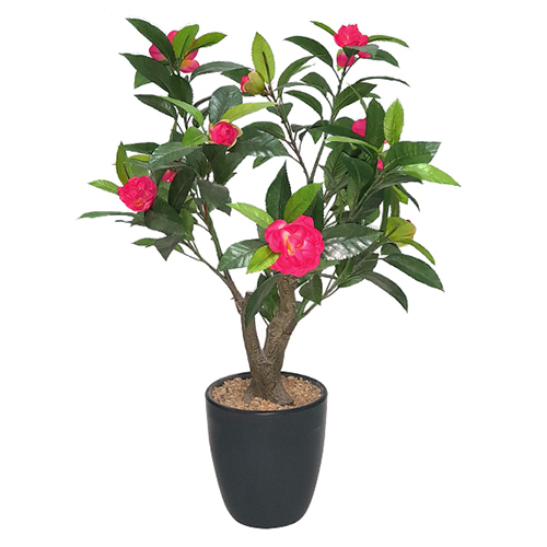 59cm Artificial Camellia Bonsai Plant With Ceramic Pot