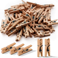 wooden clips