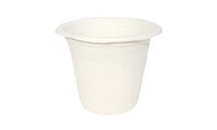 250ML WHITE BAGASSE CUP