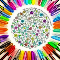 neon colour pen 12