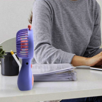 flawless mini fan