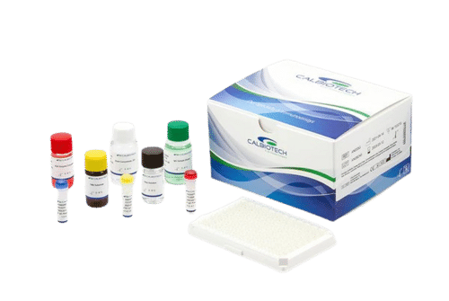 Calbiotech SSA IgG Elisa Kit.