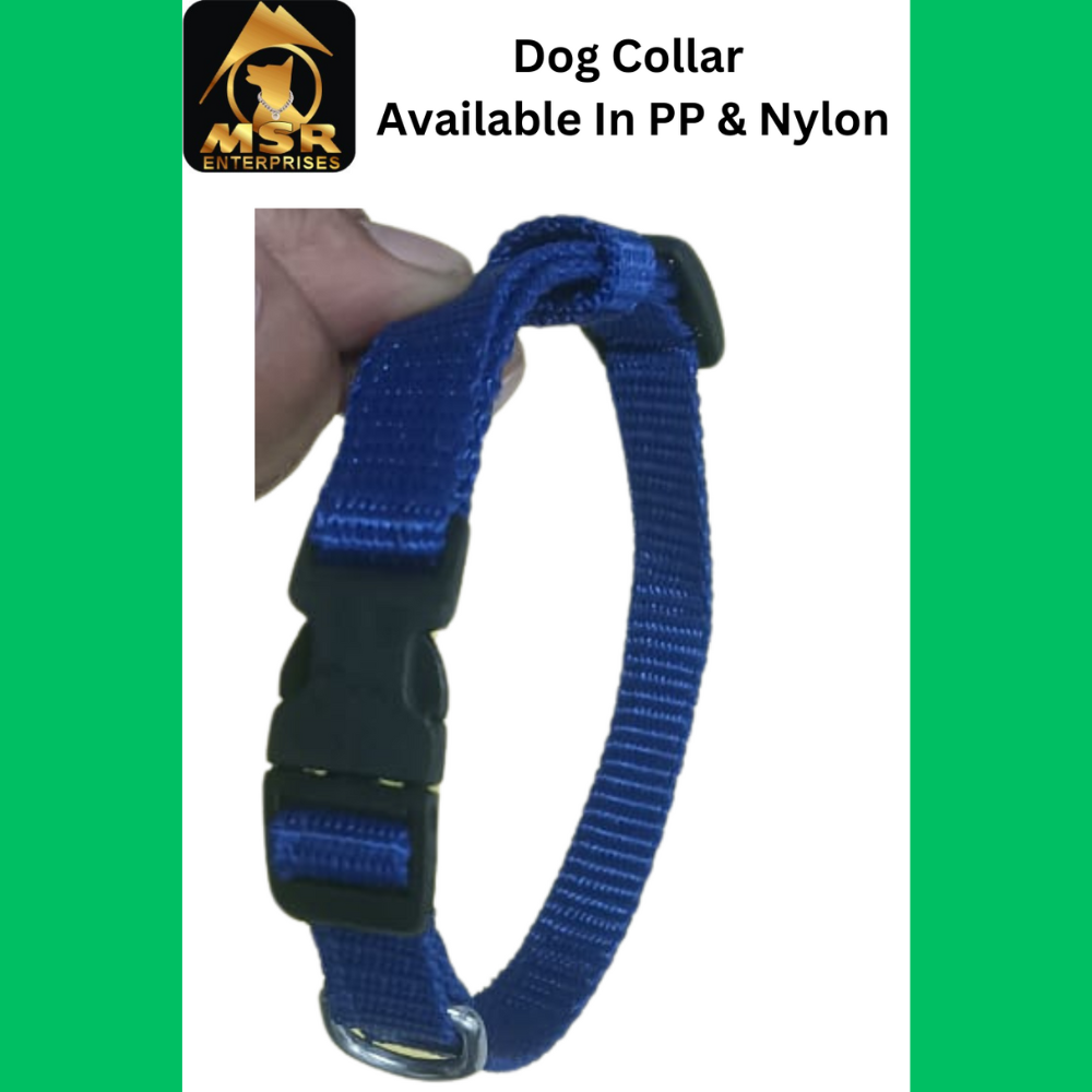 Single Layer Adjustable Dog Collar PP / NYLON