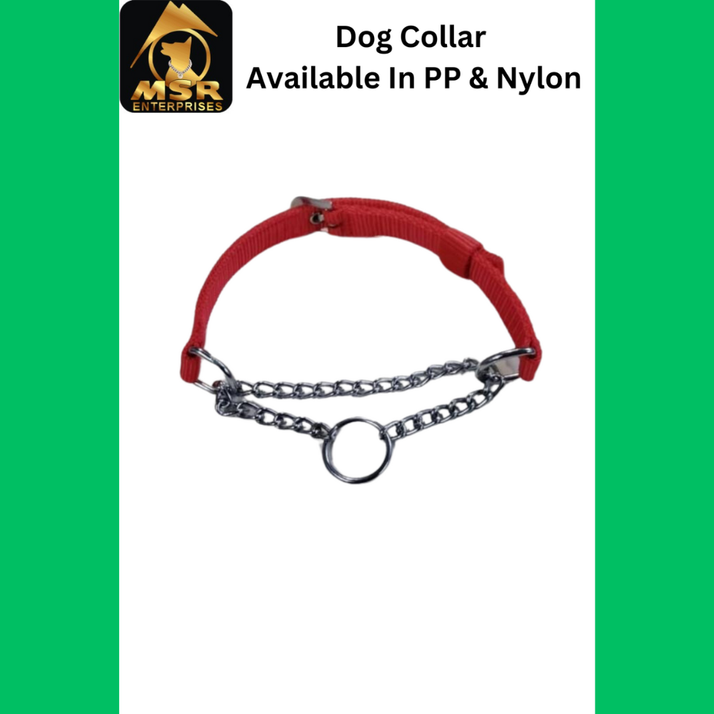 Dog Choke Collar with Buckle PP / NYLON