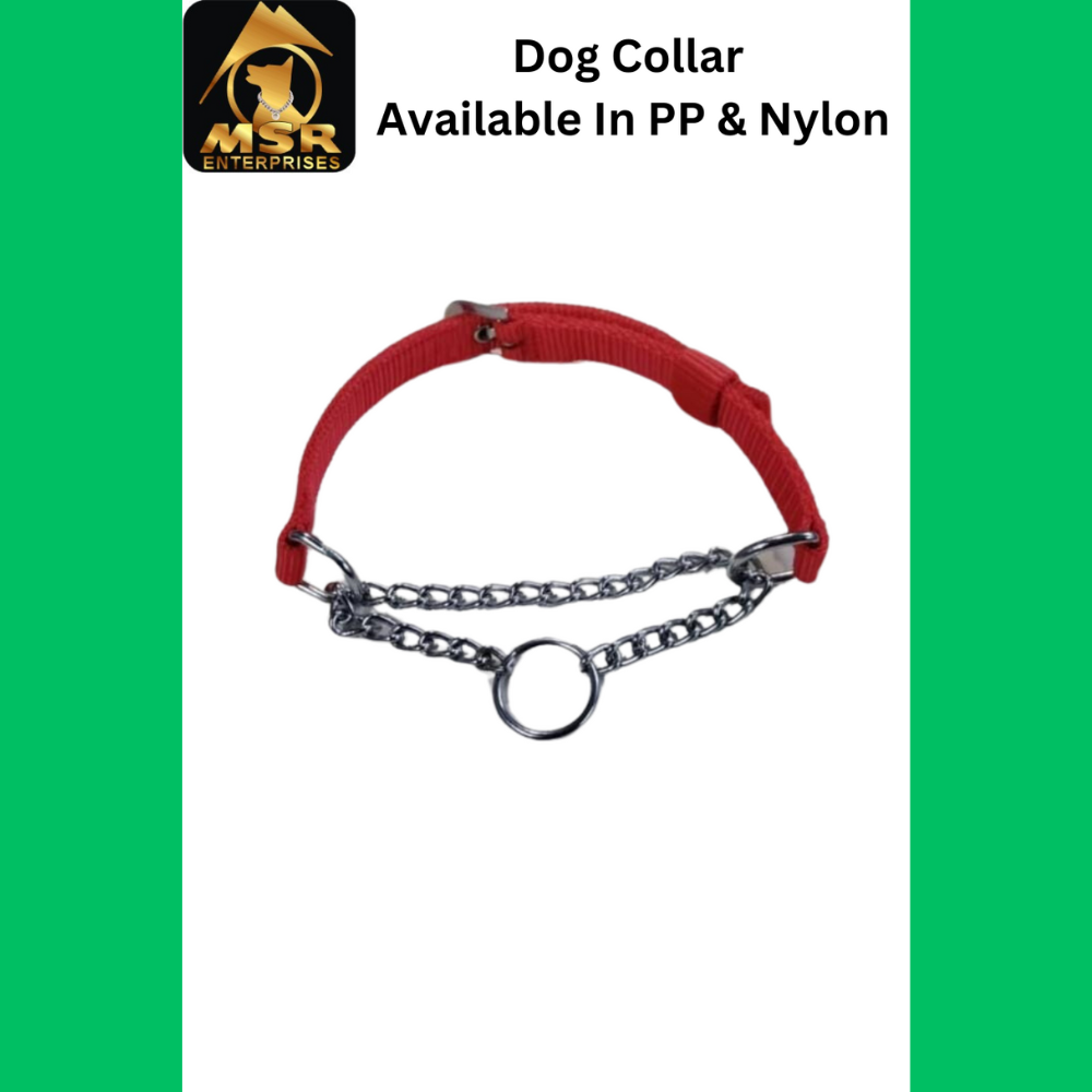 Dog Collar & Choke Buckle Collar