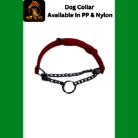 Dog Choke Collar with Buckle PP / NYLON