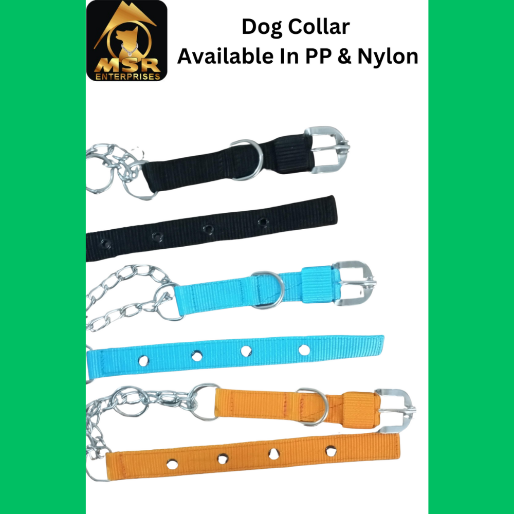 Dog Choke Collar with Buckle PP / NYLON