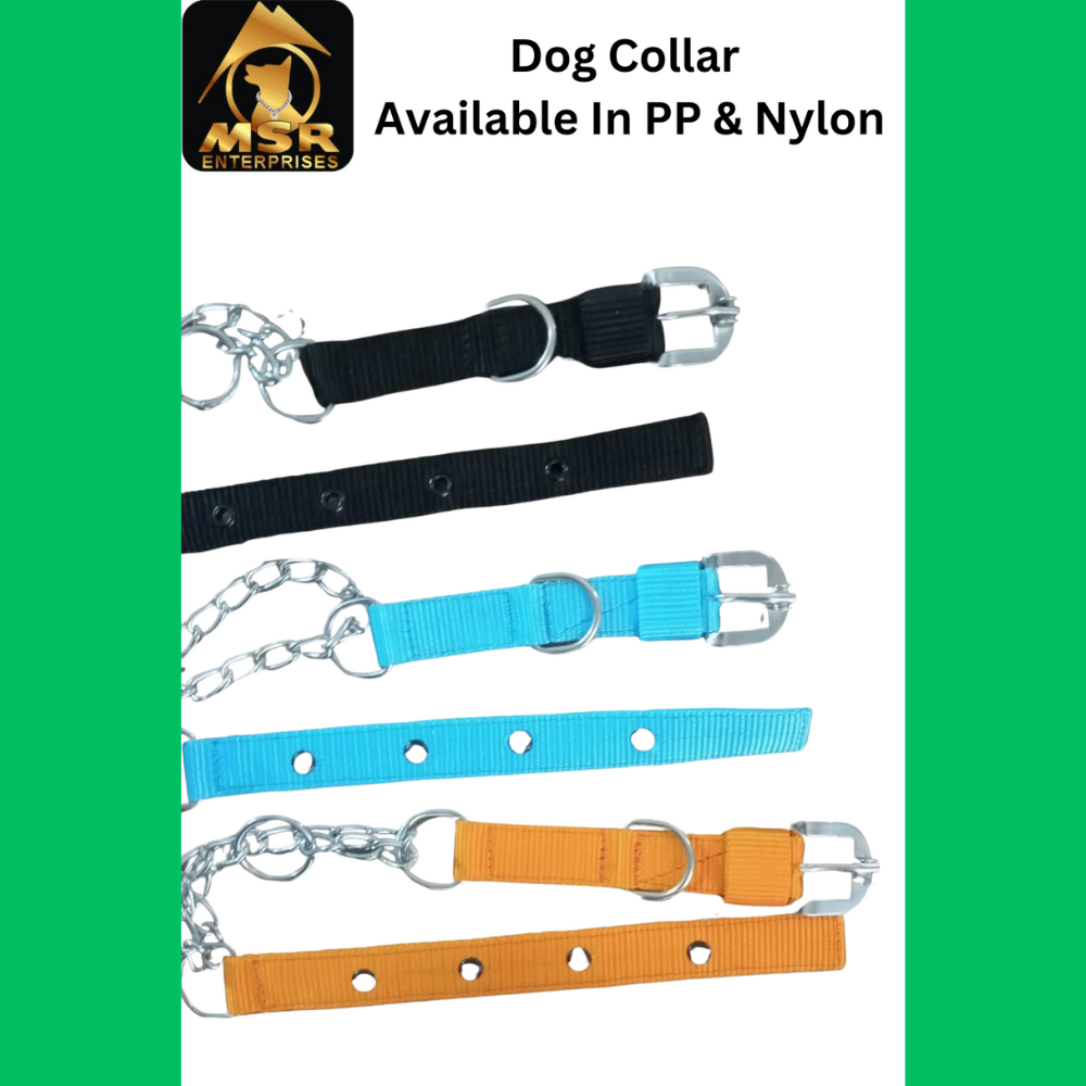 Dog Collar & Choke Buckle Collar