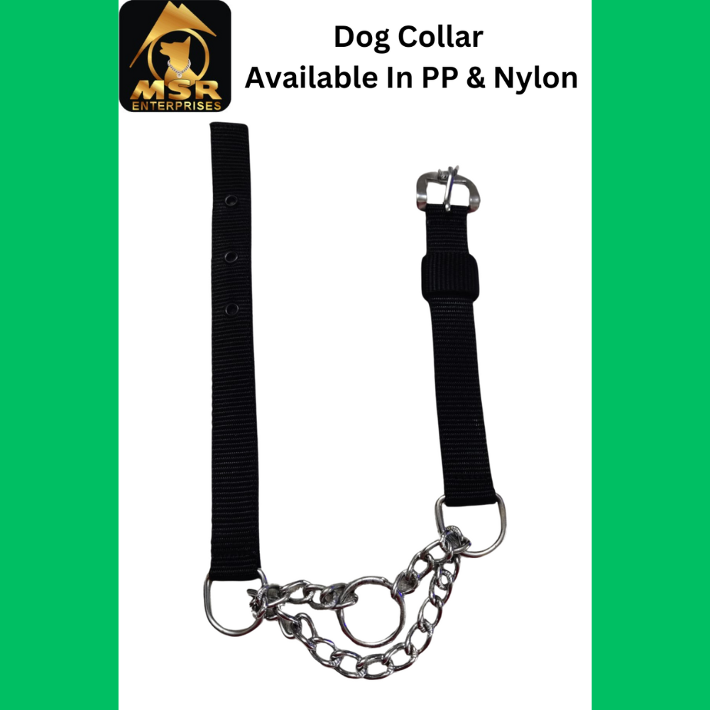 Dog Choke Collar with Buckle PP / NYLON