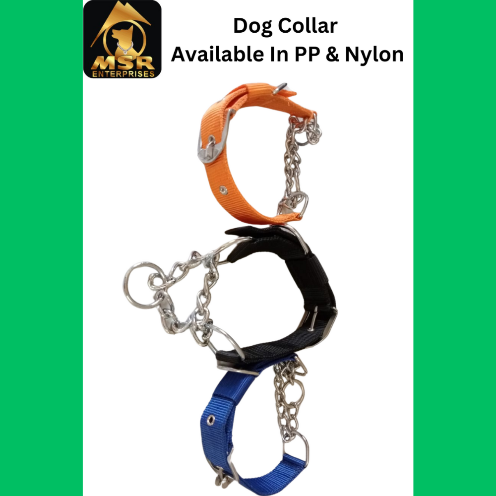 Dog Choke Collar with Buckle PP / NYLON