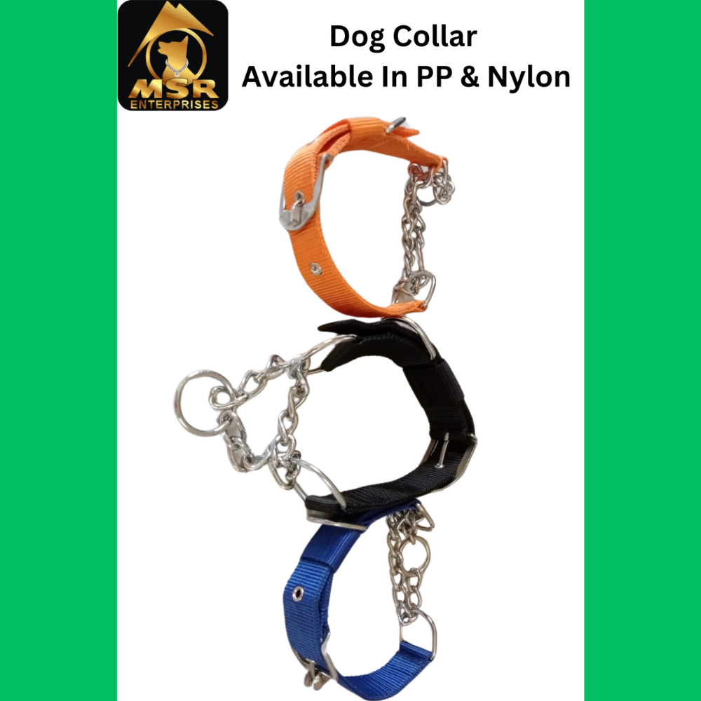 Dog Collar & Choke Buckle Collar