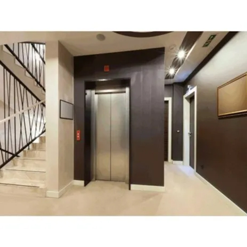 Automatic Stainless Steel Home Lift