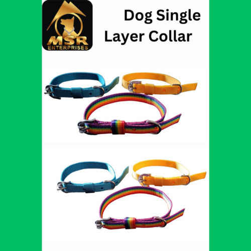 Single Layer Buckle  Dog Collar ( PP / NYLON )