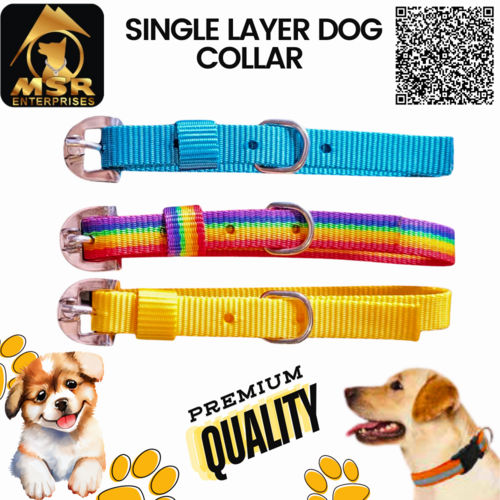 Single Layer Buckle  Dog Collar ( PP / NYLON )