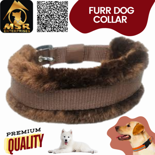 Double Layer Furr Dog Buckle Collar (PP / Nylon)