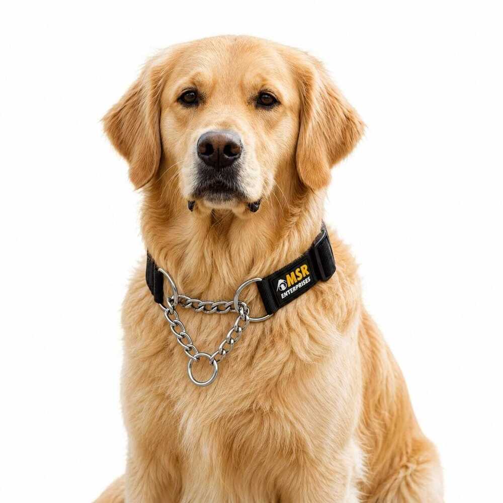 Dog  Collar Choke Adjustable