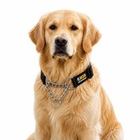 Dog Adjustable Choke Collar (pp / Nylon) - 1.5 Inch, Multi-color | High Quality Material, Double Layer, Adjustable For All Breeds