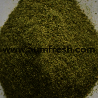 Freeze Dried Spring Onion Powder