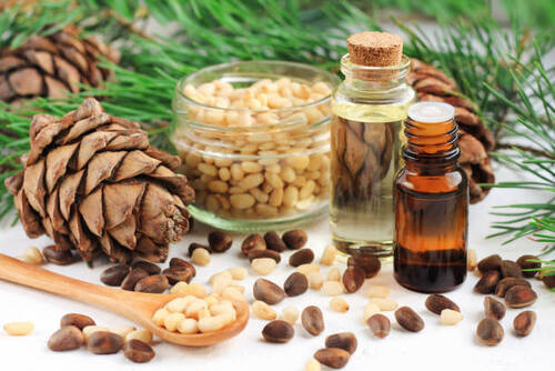 Thyme Essential Oils - Purity: 100% Natural