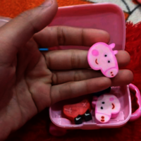 Trolly eraser