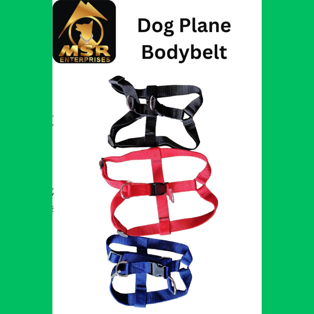 Dog Non Padded Body Belt Harness (PP / NYLON)