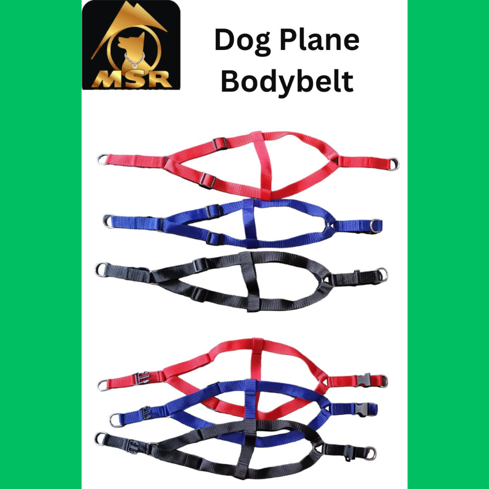 Dog Non Padded Body Belt Harness (PP / NYLON)