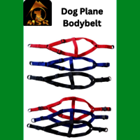 Dog Non Padded Body Belt Harness (PP / NYLON)