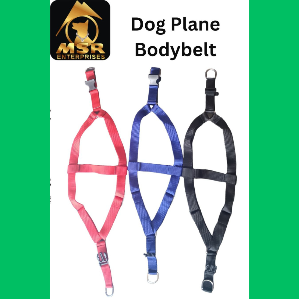 Dog Non Padded Body Belt Harness (PP / NYLON)