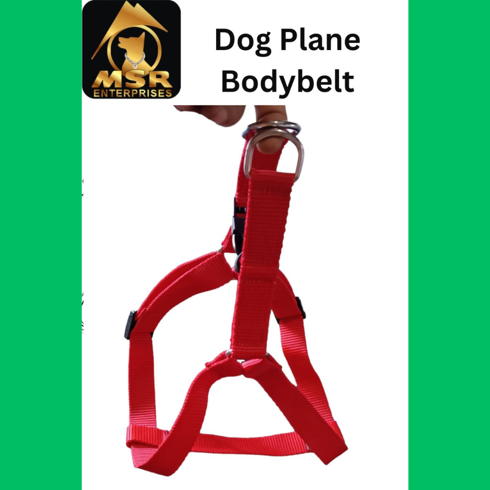 Dog Non Padded Body Belt Harness (PP / NYLON)