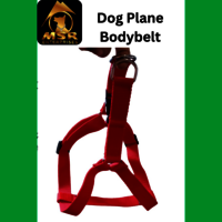 Dog Non Padded Body Belt Harness (PP / NYLON)